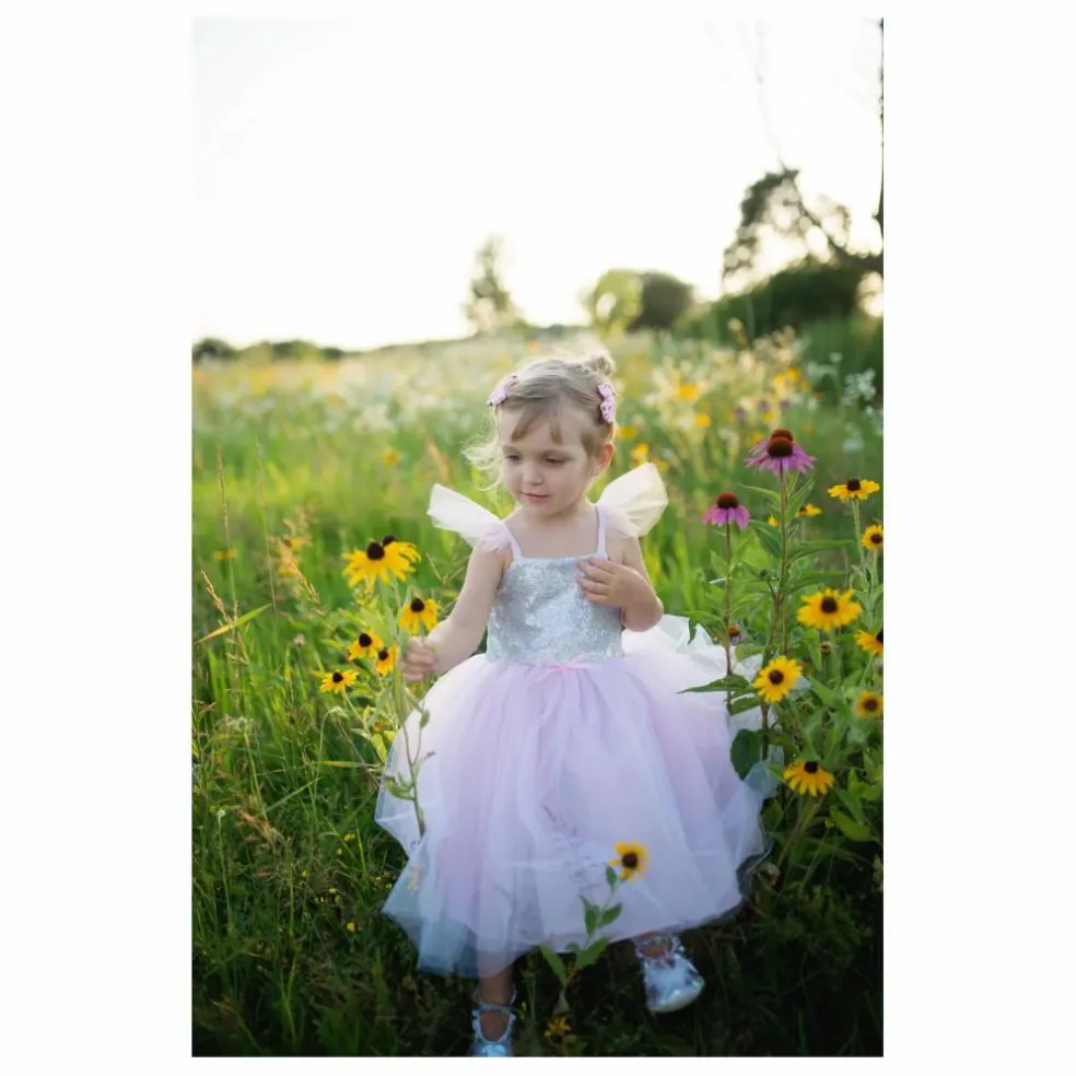Déguisement Robe de princesse