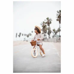 Draisienne First Go 12