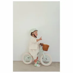 Draisienne First Go 12