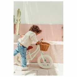 Draisienne First Go 12