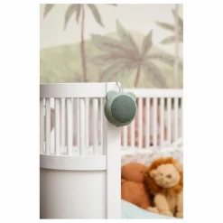 Enceinte bluetooth Roar | Sauge