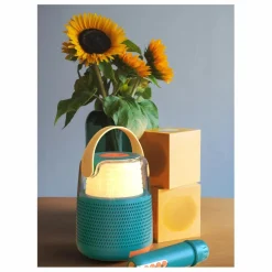Enceinte et Karaoké KS-80 | Bleu