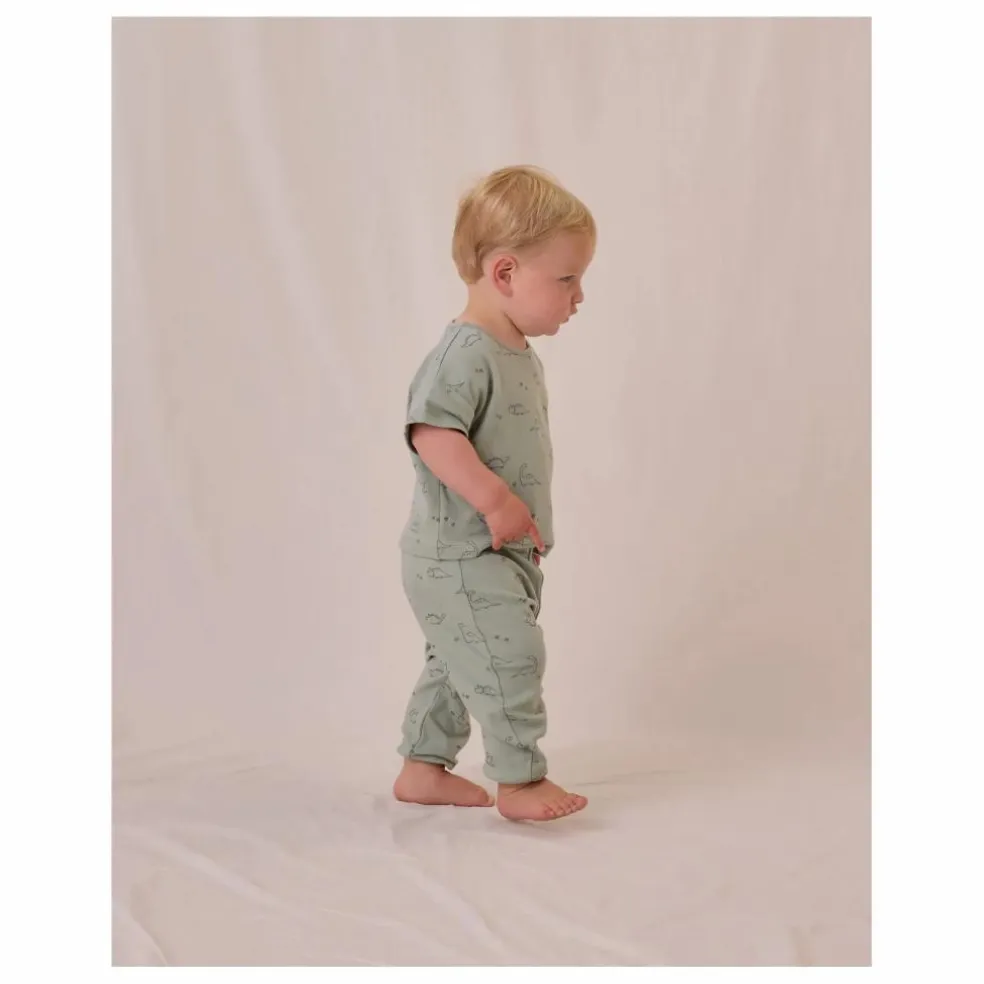 Ensemble T-shirt et Pantalon | Vert céladon