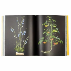 Evergreen living with plants - EN