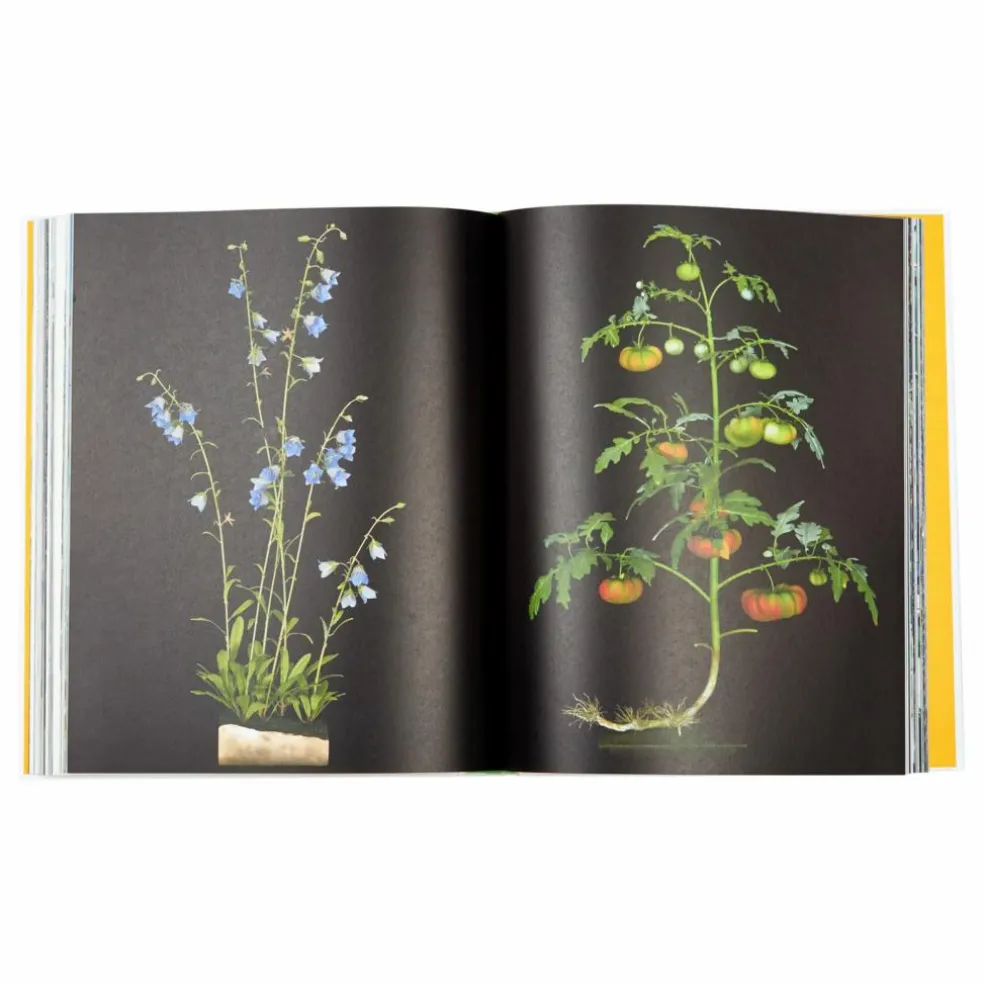Evergreen living with plants - EN