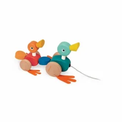 Famille Canard à promener
