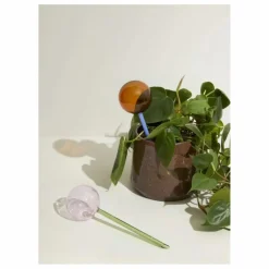 Globe d'arrosage en verre Flora | Rose