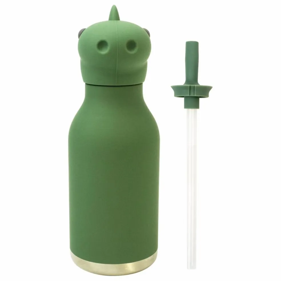 Gourde en inox Dinosaure | Vert