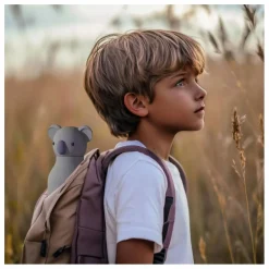 Gourde en inox Koala | Gris