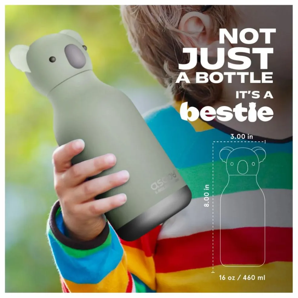 Gourde en inox Koala | Gris