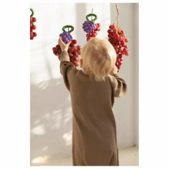 Hochet Grappe de raisin