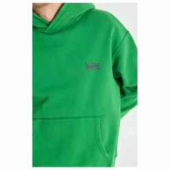 Hoodie Plizzy | Vert