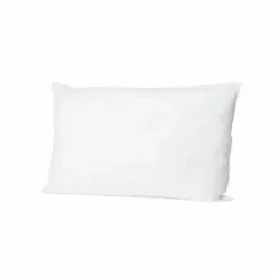 Interieur de coussin - Plume de canard | Blanc