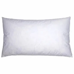 Intérieur de coussin en plumes | Blanc