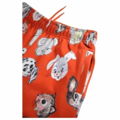 Jogger Adan Coton Bio | Orange