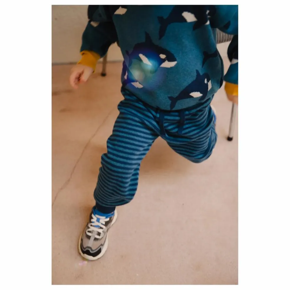 Jogger Whale Watcher Coton Bio | Bleu marine