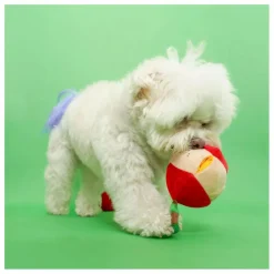Jouet de fouille Apple | Rouge