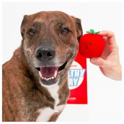 Jouet de fouille Cherry Tomato | Rouge tomate