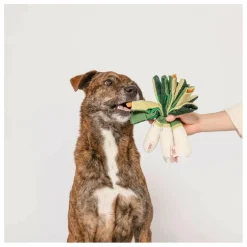 Jouet de fouille Green Onion | Vert