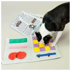 Jouet de fouille Newspapper | Multicolore