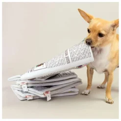 Jouet de fouille Newspapper | Multicolore