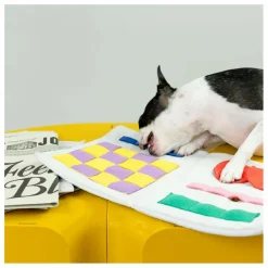 Jouet de fouille Newspapper | Multicolore