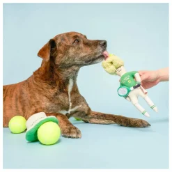 Jouet de fouille Tennis Hooman | Vert