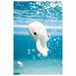 Jouet pour le bain Walter la baleine