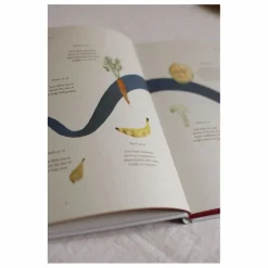 Journal de grossesse My Pregnancy - EN | Bleu gris