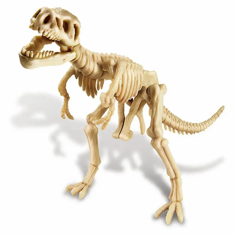 Kit déterre ton dinosaure T-Rex