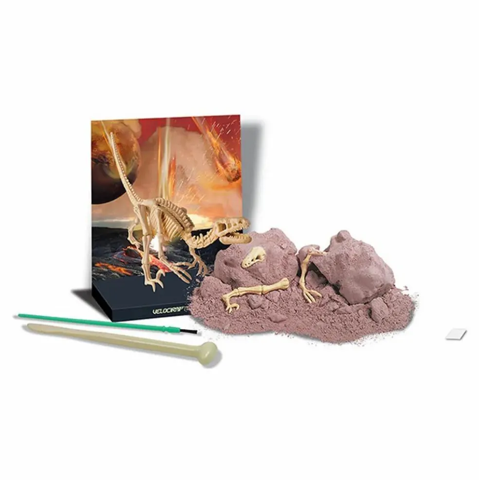 Kit déterre ton dinosaure Vélociraptor