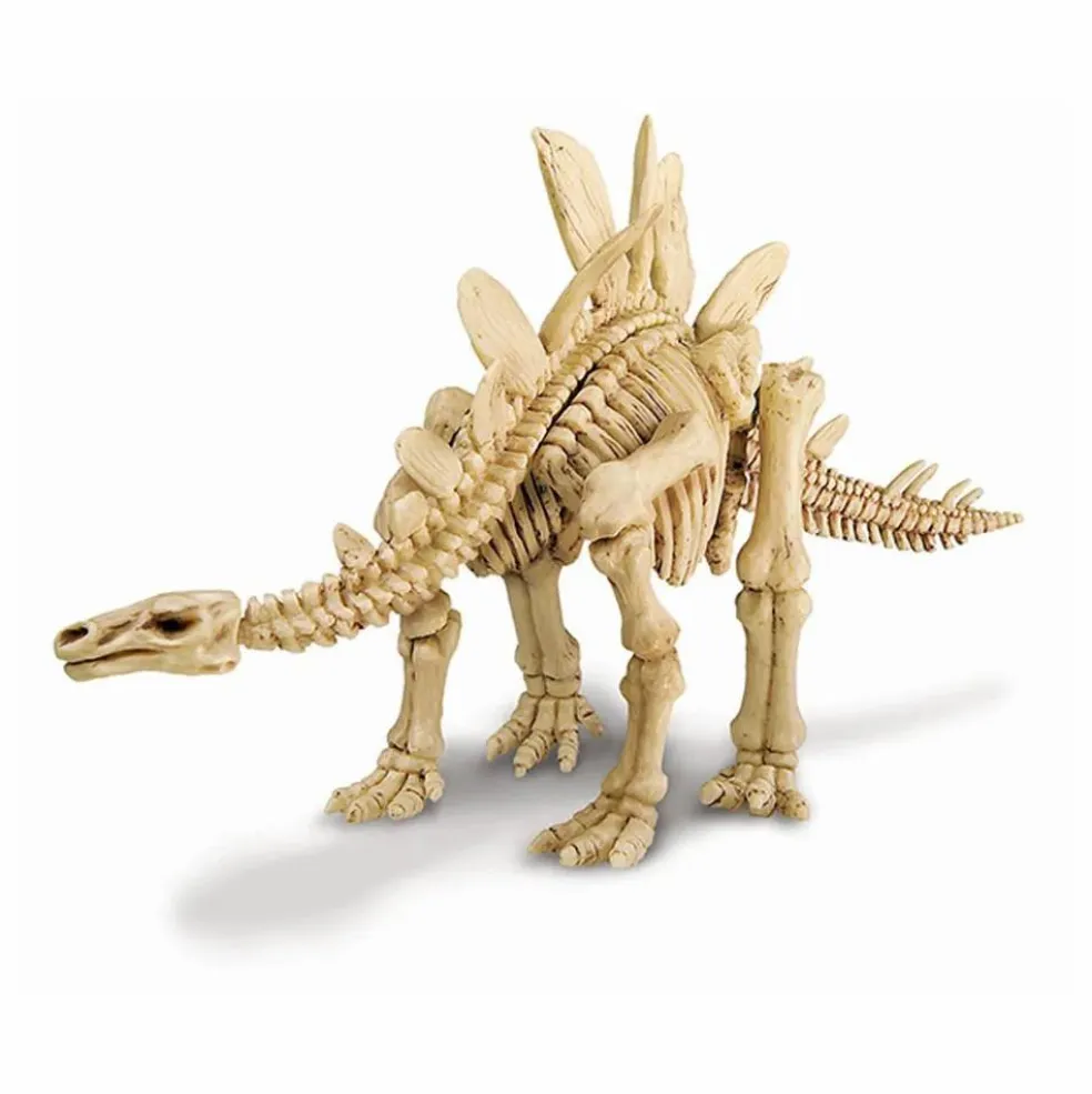 Kit déterre ton dinosaure Stégosaure