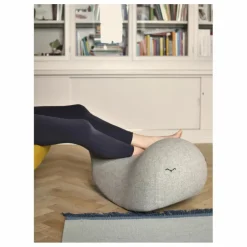 La Baleine à bascule | Gris