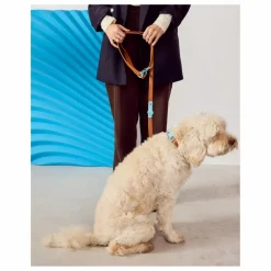 Laisse réglable pour chien | Chocolat
