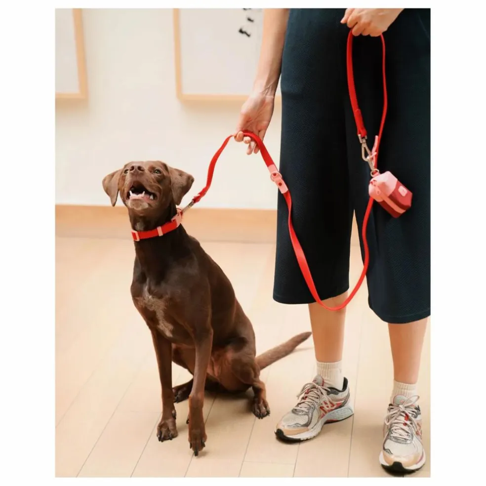 Laisse réglable pour chien | Rouge cerise