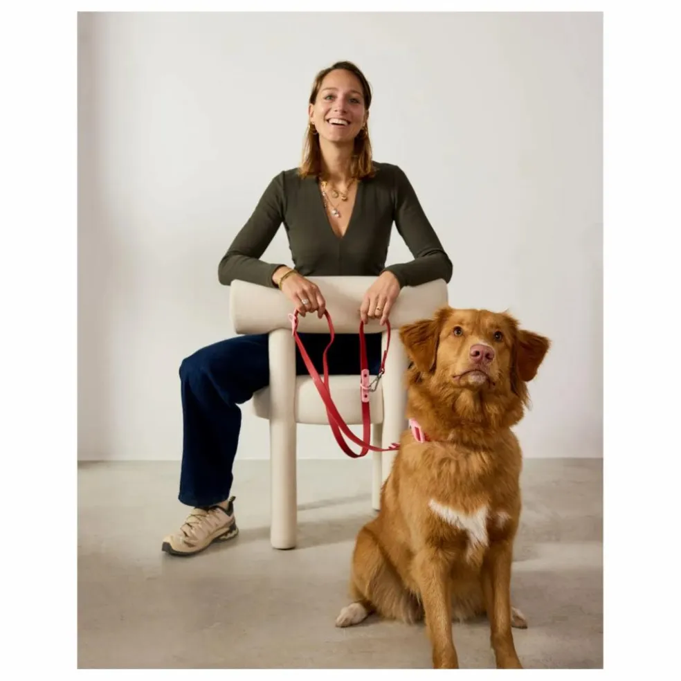 Laisse réglable pour chien | Rouge cerise