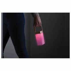 Lampe portable LED d'extérieur Horizon Hanging | Gold