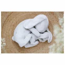 Lapin dormeur | Gris clair