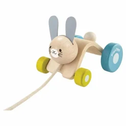 Lapin sautillant