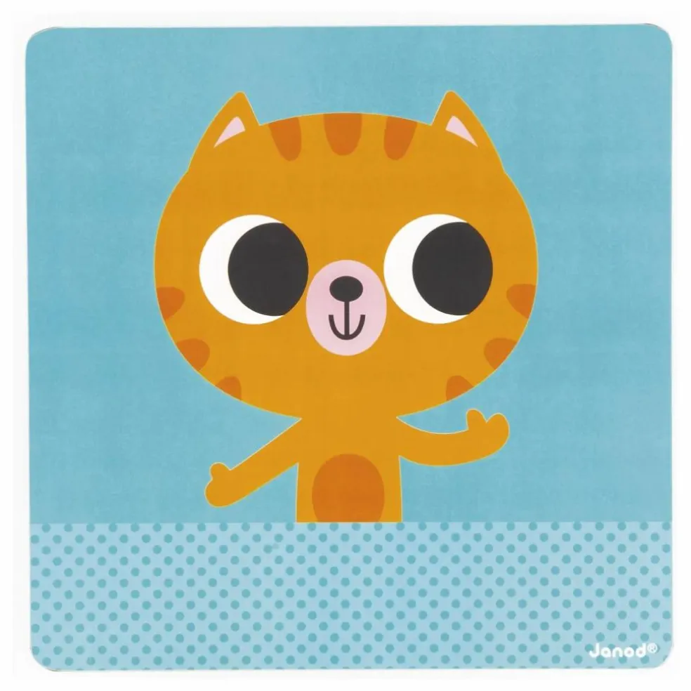 Le petit chat des rituels
