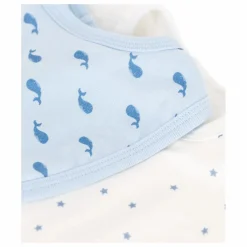 Lot 2 Bavoirs Beryl Coton Bio | Bleu