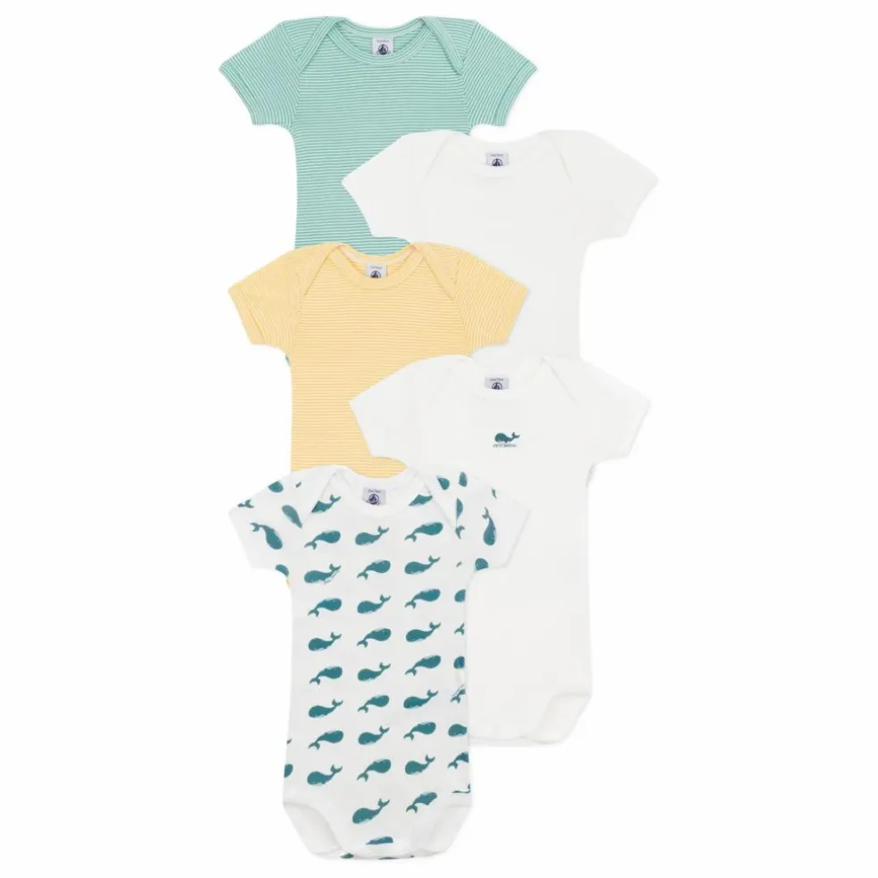 Lot 5 Bodies Baleine Coton Bio | Bleu canard