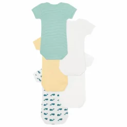 Lot 5 Bodies Baleine Coton Bio | Bleu canard