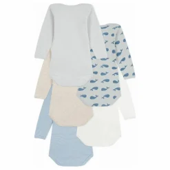 Lot 5 Bodies Baleines | Bleu