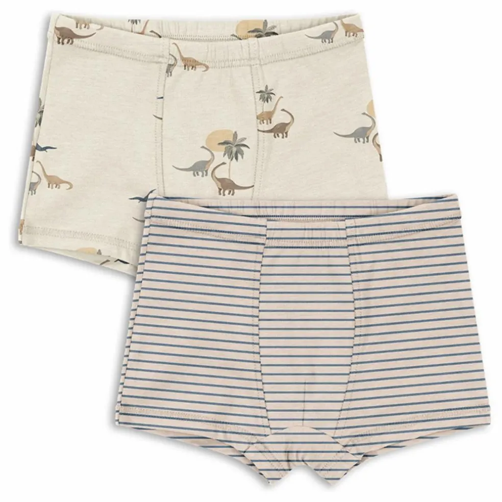 Lot 2 Boxers Dinosaures Coton Bio | Beige