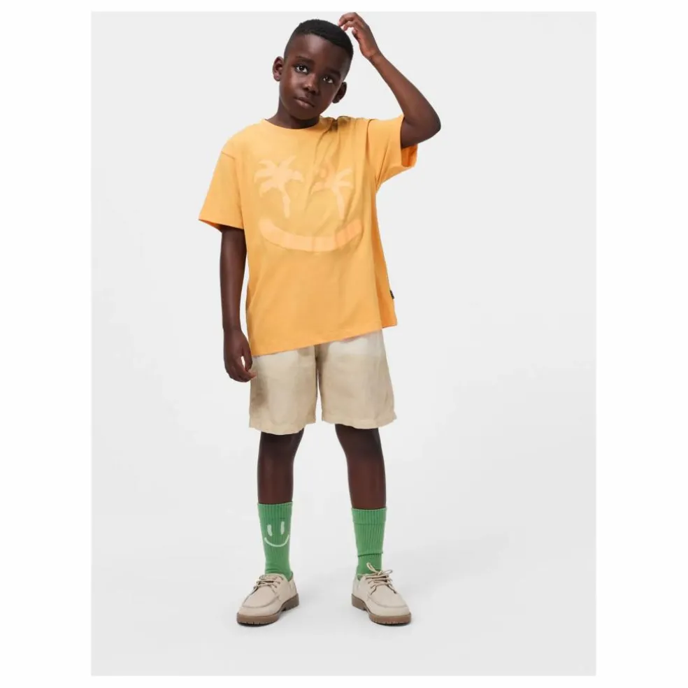 Lot de 2 Paires de Chaussettes Norman Smile | Vert
