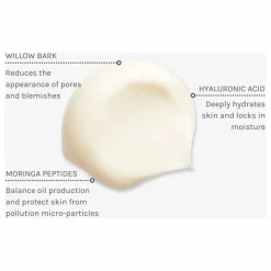 Lotion équilibrante et purifiante True Balance - 50 ml