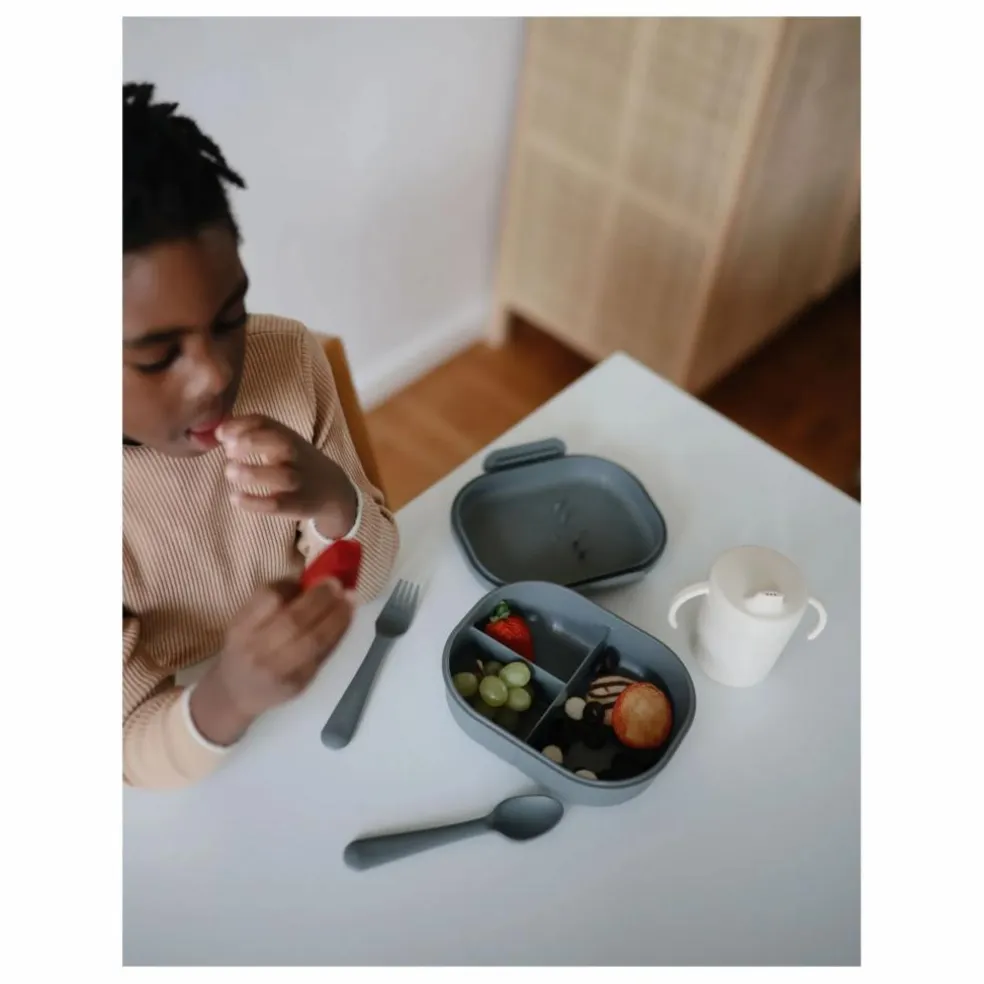 Lunchbox | Bleu