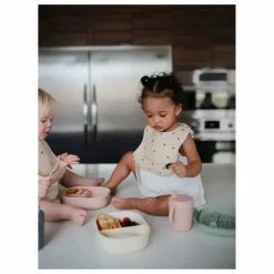 Lunchbox | Blush