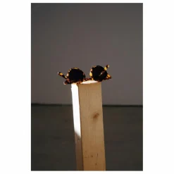 Lunettes de Soleil Forest | Marron